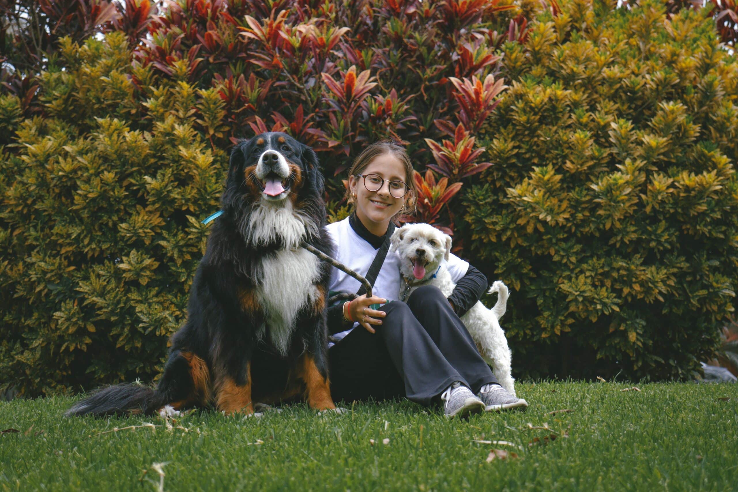 Éducateur canin accueillant un chien dans un cadre verdoyant et sécurisé au Domaine de L’Empreinte, illustrant la pension, l’éducation comportementale et l’accompagnement personnalisé.